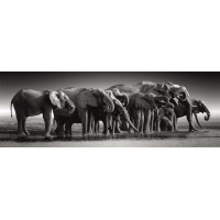 CLEMENTONI Panoramatické puzzle Stádo slonů 1000 dílků
