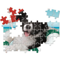 CLEMENTONI Puzzle Zvířecí kamarádi 10v1 (18, 30, 48, 60 dílků)