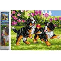 Norimpex Diamantové malování Hravá štěňátka 30x40 cm