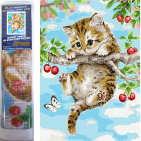 Norimpex Diamantové malování Koťátko na třešni 30x40 cm
