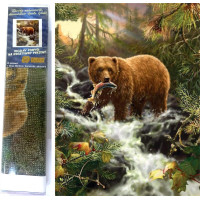 Norimpex Diamantové malování Medvěd na lovu 30x40 cm
