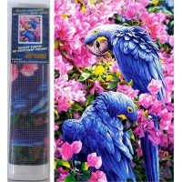 Norimpex Diamantové malování Modří papoušci 30x40 cm