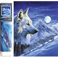 Norimpex Diamantové malování Noční lovci 30x40 cm