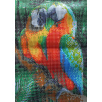 Norimpex Diamantové malování Barevní papoušci 30x40 cm