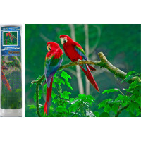 Norimpex Diamantové malování Papoušci na stromě 30x40 cm