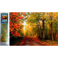 Norimpex Diamantové malování Podzim v lese 30x40 cm