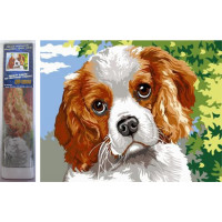 Norimpex Diamantové malování Psí oči 30x40 cm