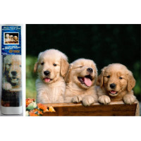 Norimpex Diamantové malování Roztomilé trio 30x40 cm