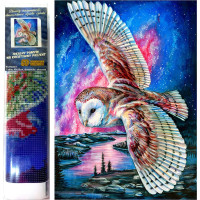 Norimpex Diamantové malování Soví let 30x40 cm