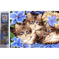 Norimpex Diamantové malování Tři koťata v květinách 30x40 cm