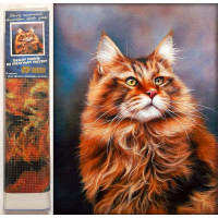 Norimpex Diamantové malování Zrzavý kocour 30x40 cm