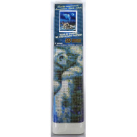 Norimpex Diamantové malování Divoký úplněk 30x40 cm