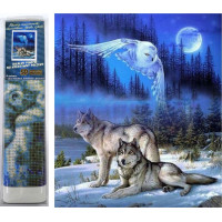 Norimpex Diamantové malování Divoký úplněk 30x40 cm