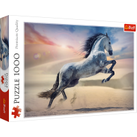 TREFL Puzzle Majestátní kůň 1000 dílků