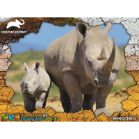 PRIME 3D Puzzle Animal planet: Ohrožené druhy - Nosorožec 3D 100 dílků