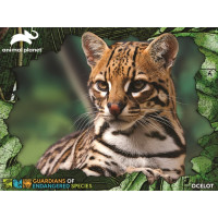 PRIME 3D Puzzle Animal planet: Ohrožené druhy - Ocelot 3D 100 dílků