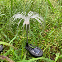 Venkovní solární LED osvětlení PALMA 80 cm - mulicolor