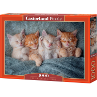 CASTORLAND Puzzle Sladká koťata 1000 dílků