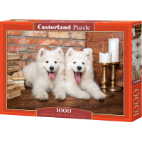 CASTORLAND Puzzle Štěňata samojeda 1000 dílků