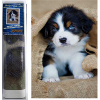 Norimpex Diamantové malování Štěně Bernského salašnického psa 30x40 cm