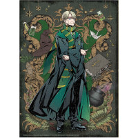 DODO Puzzle Harry Potter: Draco Malfoy 250 dílků