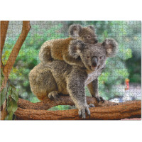 DODO Puzzle Koala s mládětem 1000 dílků