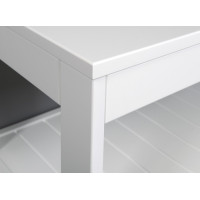Aqualine ETIDE policový regál nízký 61x45x36 cm, bílá mat ET061