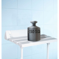 Ridder HANDICAP sklopné sedátko do sprchového koutu s podpěrou, 51x23cm, bílá A0020301