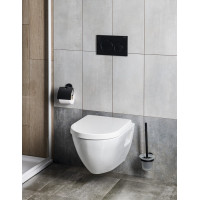 Geberit GEBERIT SIGMA20 ovládací tlačítko, Easy-to clean/černá mat 115.882.16.1