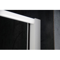 Aqualine AMICO sprchové dveře výklopné 820-1000x1850mm, čiré sklo G80