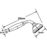 Sapho EPOCA ruční sprcha, 220mm, mosaz/zlato DOC105