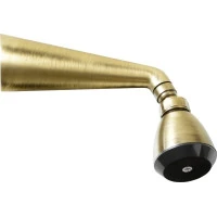 Sapho Nástěnná sprcha s otočným kloubem, bronz 9046