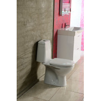 Aqualine RIGA WC kombi, dvojtlačítko 3/6l, zadní odpad, bílá RG601