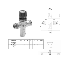 Sapho Termostatický směšovač, 1/2", 30-60 stupňů, zpětné klapky TMT12MPM