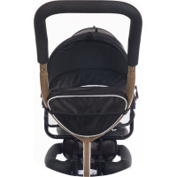 CHIPOLINO Tříkolka pro dvojčata 2Play Golden,Beige