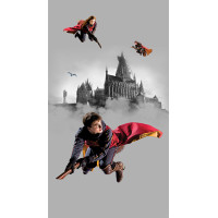 Dětská fototapeta - HARRY POTTER 2 - 150x270 cm