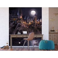 Dětská fototapeta - HARRY POTTER Škola čar a kouzel - 225x270 cm