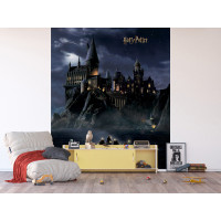 Dětská fototapeta - HARRY POTTER Bradavice - 225x270 cm