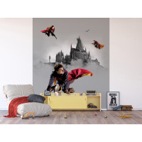 Dětská fototapeta - HARRY POTTER 2 - 225x270 cm