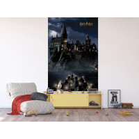 Dětská fototapeta - HARRY POTTER Bradavice - 150x270 cm