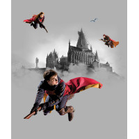 Dětská fototapeta - HARRY POTTER 2 - 225x270 cm
