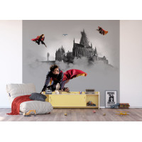 Dětská fototapeta - HARRY POTTER 2 - 300x270 cm