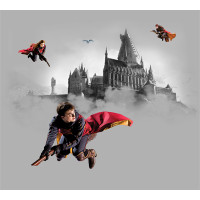 Dětská fototapeta - HARRY POTTER 2 - 300x270 cm