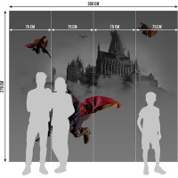 Dětská fototapeta - HARRY POTTER 2 - 300x270 cm