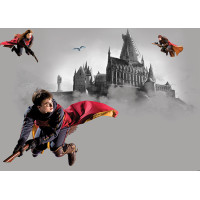 Dětská fototapeta - HARRY POTTER 2 - 155x110 cm