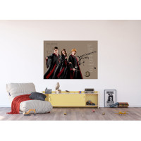 Dětská fototapeta - HARRY POTTER 1 - 155x110 cm