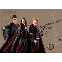 Dětská fototapeta - HARRY POTTER 1 - 155x110 cm