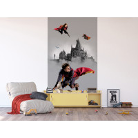 Dětská fototapeta - HARRY POTTER 2 - 150x270 cm
