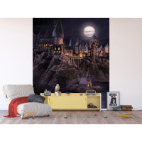 Dětská fototapeta - HARRY POTTER Škola čar a kouzel - 225x270 cm