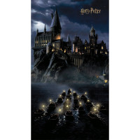Dětská fototapeta - HARRY POTTER Bradavice - 150x270 cm